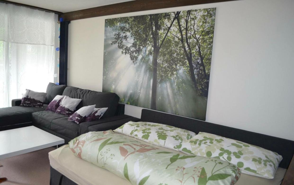Ferienwohnung Энгельберг Экстерьер фото